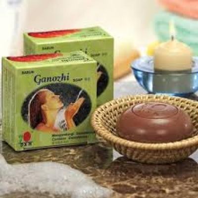 DXN Ganozhi Soap 80g