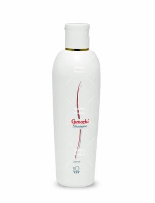DXN Ganozhi Shampoo 250ml